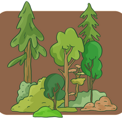 Ever wondered why a walk in the woods feels so refreshing?