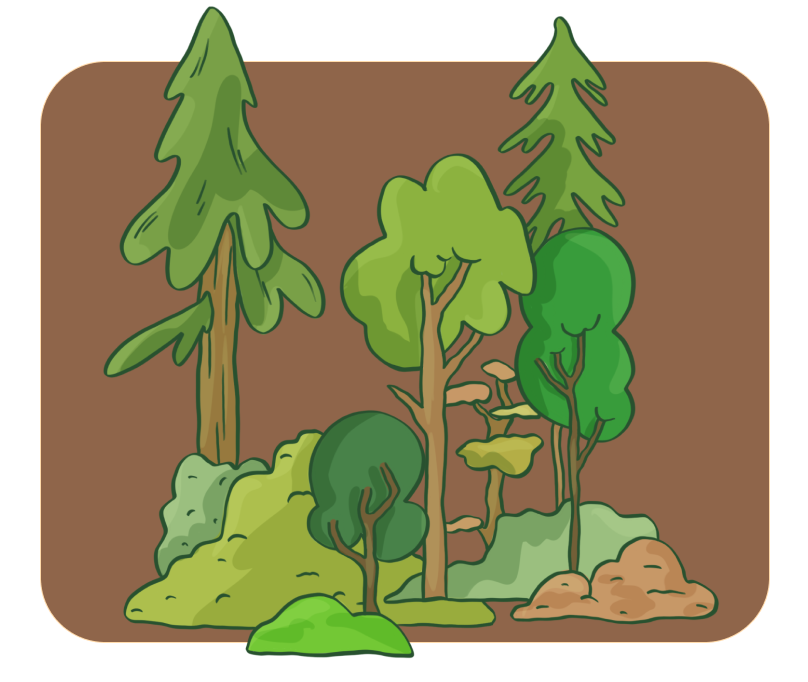 Ever wondered why a walk in the woods feels so refreshing?